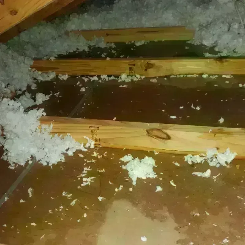 Best Attic Water Damage Service in Bellefontaine, OH